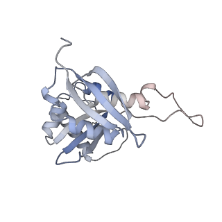 25527_7syg_I_v1-0
Structure of the HCV IRES binding to the 40S ribosomal subunit, closed conformation. Structure 1(delta dII)