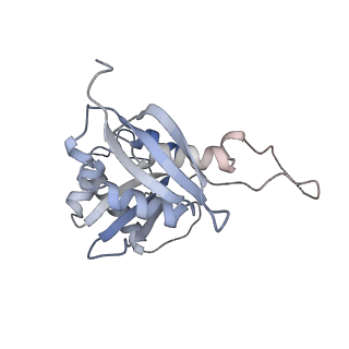 25527_7syg_I_v1-1
Structure of the HCV IRES binding to the 40S ribosomal subunit, closed conformation. Structure 1(delta dII)