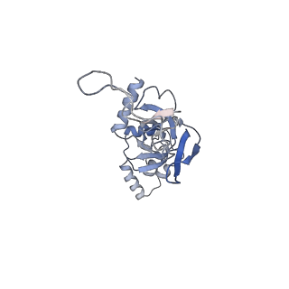 25527_7syg_J_v1-0
Structure of the HCV IRES binding to the 40S ribosomal subunit, closed conformation. Structure 1(delta dII)