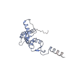 25527_7syg_K_v1-1
Structure of the HCV IRES binding to the 40S ribosomal subunit, closed conformation. Structure 1(delta dII)