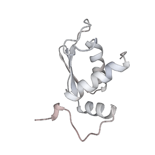 25527_7syg_L_v1-0
Structure of the HCV IRES binding to the 40S ribosomal subunit, closed conformation. Structure 1(delta dII)
