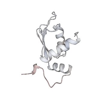 25527_7syg_L_v1-1
Structure of the HCV IRES binding to the 40S ribosomal subunit, closed conformation. Structure 1(delta dII)