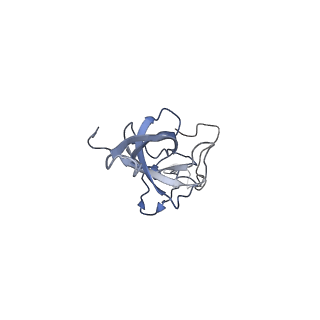 25527_7syg_M_v1-0
Structure of the HCV IRES binding to the 40S ribosomal subunit, closed conformation. Structure 1(delta dII)