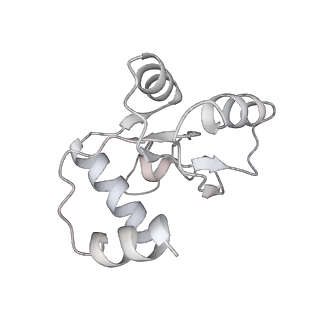 25527_7syg_N_v1-0
Structure of the HCV IRES binding to the 40S ribosomal subunit, closed conformation. Structure 1(delta dII)