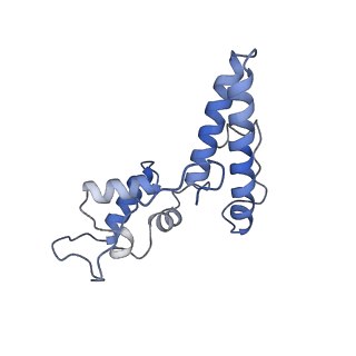 25527_7syg_O_v1-0
Structure of the HCV IRES binding to the 40S ribosomal subunit, closed conformation. Structure 1(delta dII)