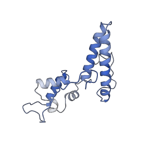 25527_7syg_O_v1-1
Structure of the HCV IRES binding to the 40S ribosomal subunit, closed conformation. Structure 1(delta dII)