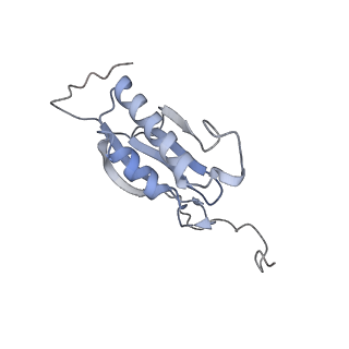 25527_7syg_P_v1-1
Structure of the HCV IRES binding to the 40S ribosomal subunit, closed conformation. Structure 1(delta dII)