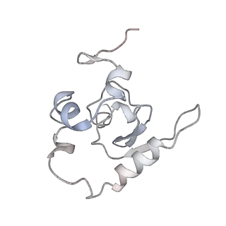 25527_7syg_Q_v1-0
Structure of the HCV IRES binding to the 40S ribosomal subunit, closed conformation. Structure 1(delta dII)