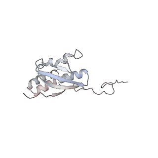 25527_7syg_R_v1-1
Structure of the HCV IRES binding to the 40S ribosomal subunit, closed conformation. Structure 1(delta dII)