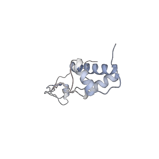 25527_7syg_S_v1-0
Structure of the HCV IRES binding to the 40S ribosomal subunit, closed conformation. Structure 1(delta dII)