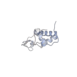 25527_7syg_S_v1-1
Structure of the HCV IRES binding to the 40S ribosomal subunit, closed conformation. Structure 1(delta dII)