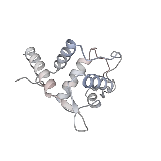 25527_7syg_U_v1-0
Structure of the HCV IRES binding to the 40S ribosomal subunit, closed conformation. Structure 1(delta dII)