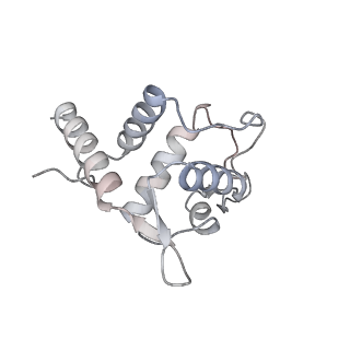 25527_7syg_U_v1-1
Structure of the HCV IRES binding to the 40S ribosomal subunit, closed conformation. Structure 1(delta dII)