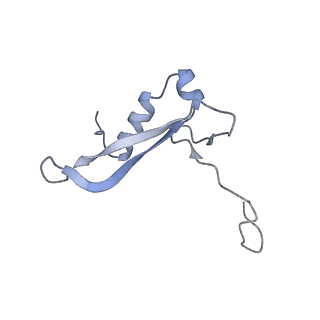 25527_7syg_W_v1-0
Structure of the HCV IRES binding to the 40S ribosomal subunit, closed conformation. Structure 1(delta dII)