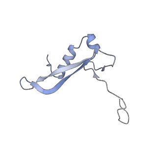 25527_7syg_W_v1-1
Structure of the HCV IRES binding to the 40S ribosomal subunit, closed conformation. Structure 1(delta dII)