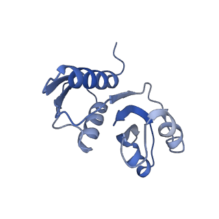 25527_7syg_X_v1-1
Structure of the HCV IRES binding to the 40S ribosomal subunit, closed conformation. Structure 1(delta dII)