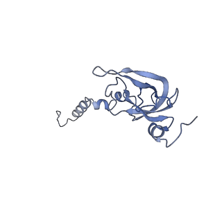 25527_7syg_Y_v1-1
Structure of the HCV IRES binding to the 40S ribosomal subunit, closed conformation. Structure 1(delta dII)