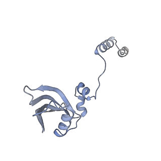 25527_7syg_Z_v1-1
Structure of the HCV IRES binding to the 40S ribosomal subunit, closed conformation. Structure 1(delta dII)