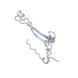 25527_7syg_b_v1-0
Structure of the HCV IRES binding to the 40S ribosomal subunit, closed conformation. Structure 1(delta dII)