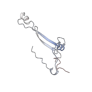 25527_7syg_b_v1-1
Structure of the HCV IRES binding to the 40S ribosomal subunit, closed conformation. Structure 1(delta dII)