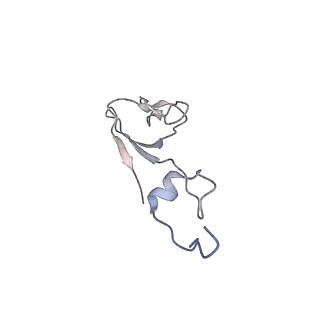 25527_7syg_c_v1-0
Structure of the HCV IRES binding to the 40S ribosomal subunit, closed conformation. Structure 1(delta dII)