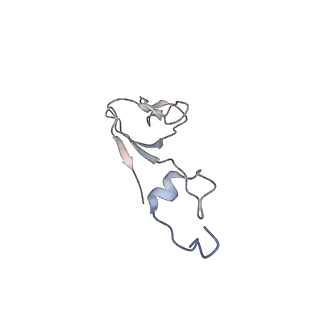 25527_7syg_c_v1-1
Structure of the HCV IRES binding to the 40S ribosomal subunit, closed conformation. Structure 1(delta dII)