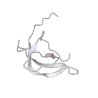 25527_7syg_d_v1-1
Structure of the HCV IRES binding to the 40S ribosomal subunit, closed conformation. Structure 1(delta dII)