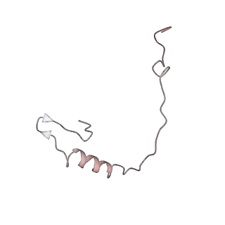 25527_7syg_f_v1-0
Structure of the HCV IRES binding to the 40S ribosomal subunit, closed conformation. Structure 1(delta dII)