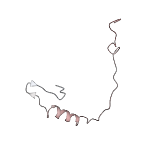 25527_7syg_f_v1-1
Structure of the HCV IRES binding to the 40S ribosomal subunit, closed conformation. Structure 1(delta dII)