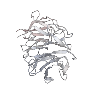 25527_7syg_h_v1-0
Structure of the HCV IRES binding to the 40S ribosomal subunit, closed conformation. Structure 1(delta dII)