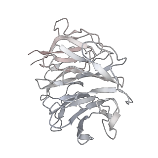 25527_7syg_h_v1-1
Structure of the HCV IRES binding to the 40S ribosomal subunit, closed conformation. Structure 1(delta dII)