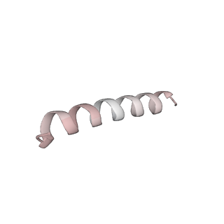 25527_7syg_n_v1-1
Structure of the HCV IRES binding to the 40S ribosomal subunit, closed conformation. Structure 1(delta dII)