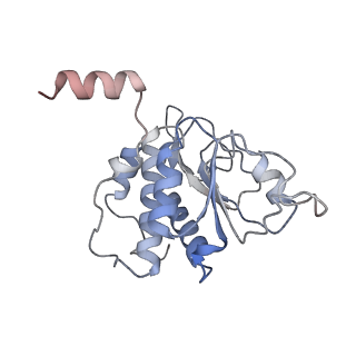 25528_7syh_B_v1-0
Structure of the HCV IRES binding to the 40S ribosomal subunit, closed conformation. Structure 2(delta dII)