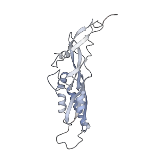 25528_7syh_C_v1-0
Structure of the HCV IRES binding to the 40S ribosomal subunit, closed conformation. Structure 2(delta dII)