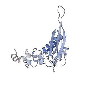 25528_7syh_D_v1-0
Structure of the HCV IRES binding to the 40S ribosomal subunit, closed conformation. Structure 2(delta dII)