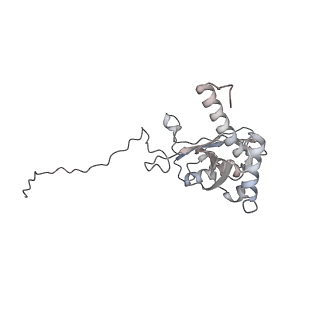 25528_7syh_E_v1-0
Structure of the HCV IRES binding to the 40S ribosomal subunit, closed conformation. Structure 2(delta dII)