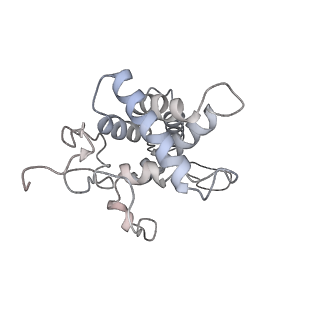 25528_7syh_G_v1-0
Structure of the HCV IRES binding to the 40S ribosomal subunit, closed conformation. Structure 2(delta dII)