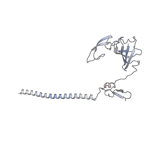 25528_7syh_H_v1-0
Structure of the HCV IRES binding to the 40S ribosomal subunit, closed conformation. Structure 2(delta dII)