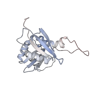 25528_7syh_I_v1-0
Structure of the HCV IRES binding to the 40S ribosomal subunit, closed conformation. Structure 2(delta dII)