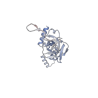 25528_7syh_J_v1-0
Structure of the HCV IRES binding to the 40S ribosomal subunit, closed conformation. Structure 2(delta dII)