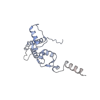 25528_7syh_K_v1-0
Structure of the HCV IRES binding to the 40S ribosomal subunit, closed conformation. Structure 2(delta dII)