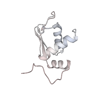 25528_7syh_L_v1-0
Structure of the HCV IRES binding to the 40S ribosomal subunit, closed conformation. Structure 2(delta dII)