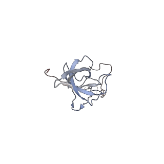 25528_7syh_M_v1-0
Structure of the HCV IRES binding to the 40S ribosomal subunit, closed conformation. Structure 2(delta dII)