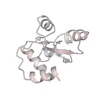 25528_7syh_N_v1-0
Structure of the HCV IRES binding to the 40S ribosomal subunit, closed conformation. Structure 2(delta dII)