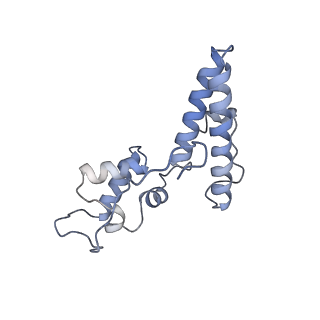 25528_7syh_O_v1-0
Structure of the HCV IRES binding to the 40S ribosomal subunit, closed conformation. Structure 2(delta dII)