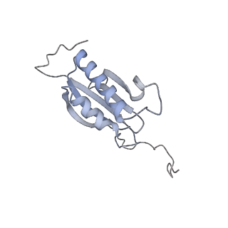 25528_7syh_P_v1-0
Structure of the HCV IRES binding to the 40S ribosomal subunit, closed conformation. Structure 2(delta dII)