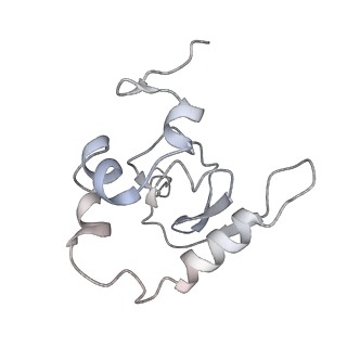 25528_7syh_Q_v1-0
Structure of the HCV IRES binding to the 40S ribosomal subunit, closed conformation. Structure 2(delta dII)