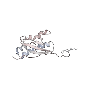 25528_7syh_R_v1-0
Structure of the HCV IRES binding to the 40S ribosomal subunit, closed conformation. Structure 2(delta dII)