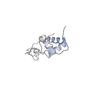 25528_7syh_S_v1-0
Structure of the HCV IRES binding to the 40S ribosomal subunit, closed conformation. Structure 2(delta dII)