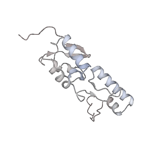 25528_7syh_T_v1-0
Structure of the HCV IRES binding to the 40S ribosomal subunit, closed conformation. Structure 2(delta dII)